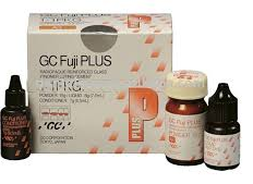GC FUJI PLUS