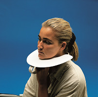 HAGER WERKEN PROTECTOR X-RAY SHIELD